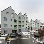 Kronstadt Olarilor Μπρασόβ