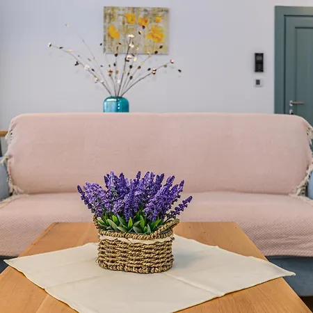 Apartment Kronstadt Olarilor
